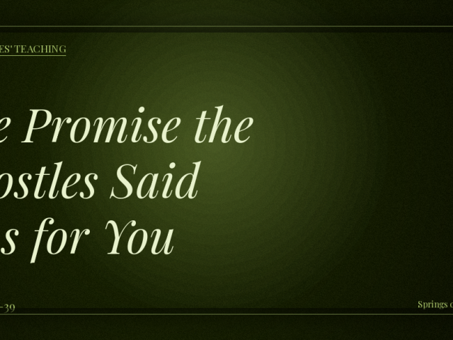 The Promise Jesus Said Was for You